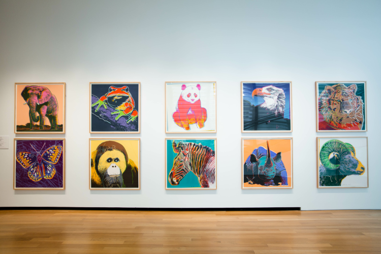 Endangered Species Warhol Paintings