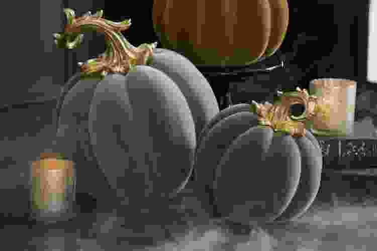 Velvet pumpkins