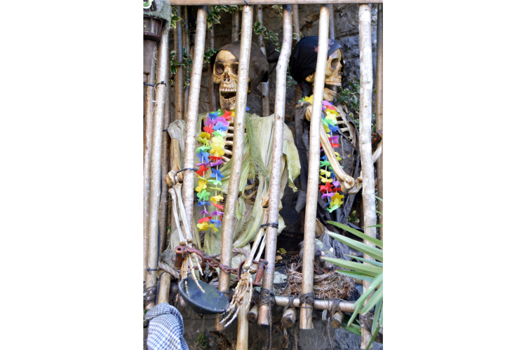 Skeleton Cage Halloween Decoration Idea