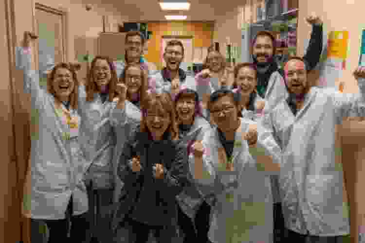 lab team