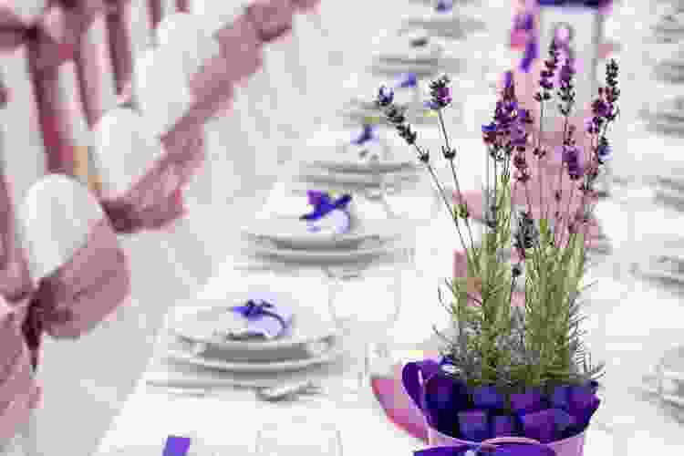 Lavender & Mulberry