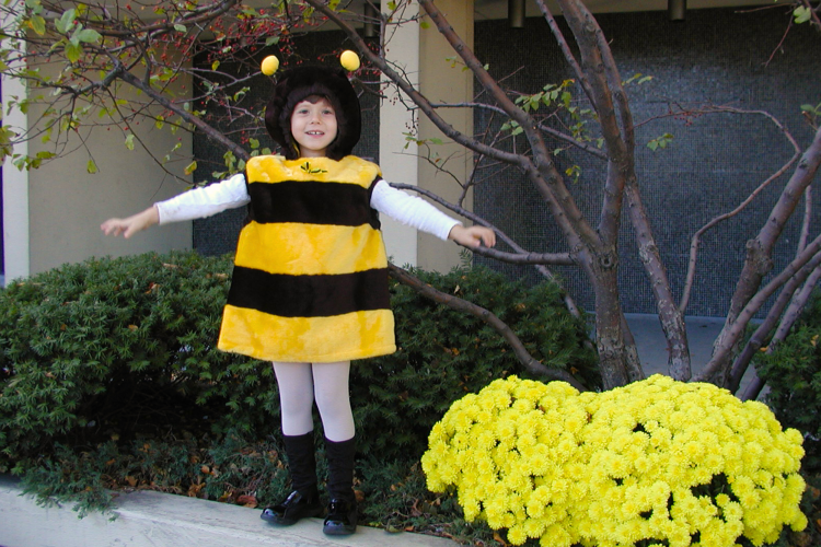 Kids Bee Costume