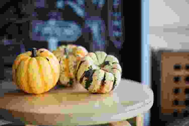Mini Pumpkin Trio