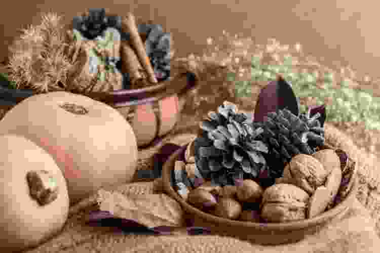 Natural Wood, Gourds and Acorns