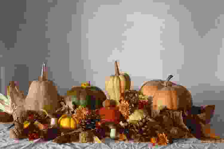 pumpkins