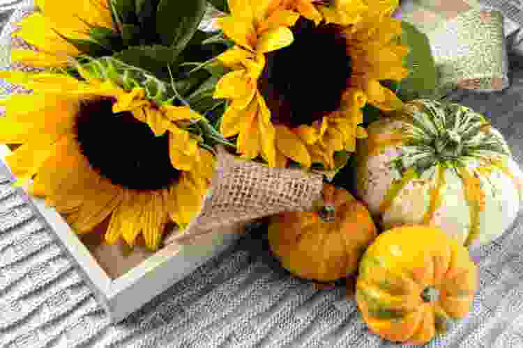Pumpkins and Sunflowers fall centerpiece