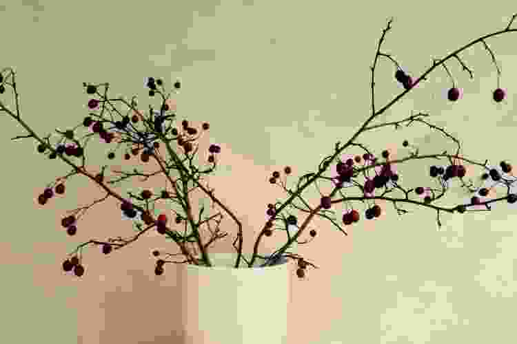 Vases with Berry Branches