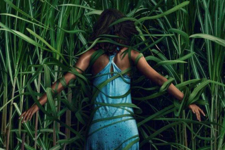 In the Tall Grass