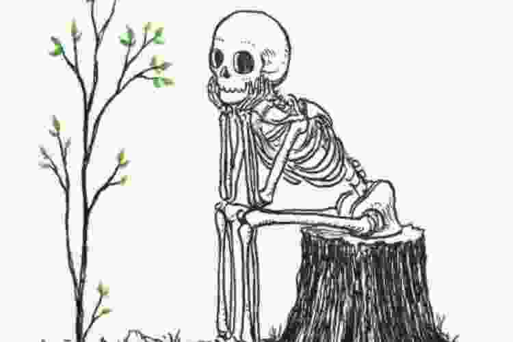 skeleton drawing
