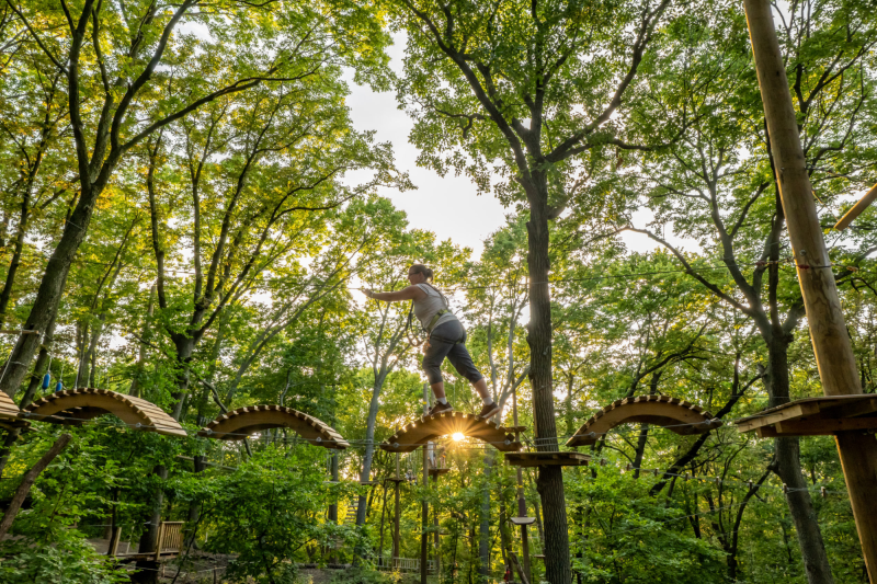 Tree Rush Adventures Omaha