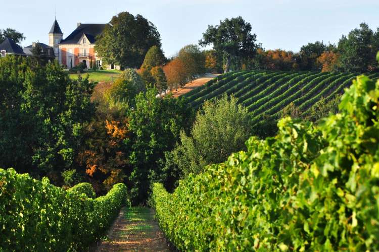 the Bordeaux French wine region