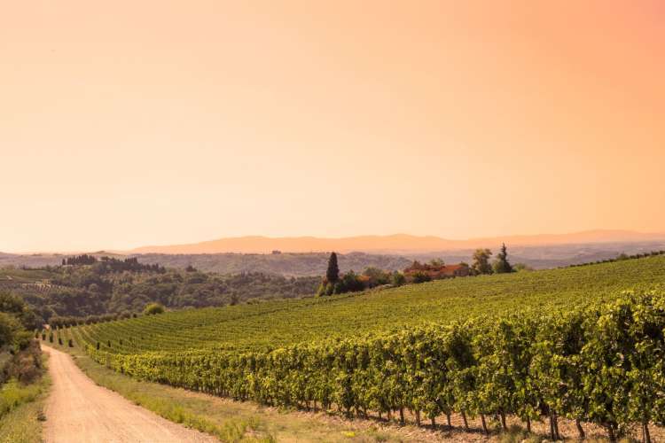 Tuscany is a renowned Italian wine region.