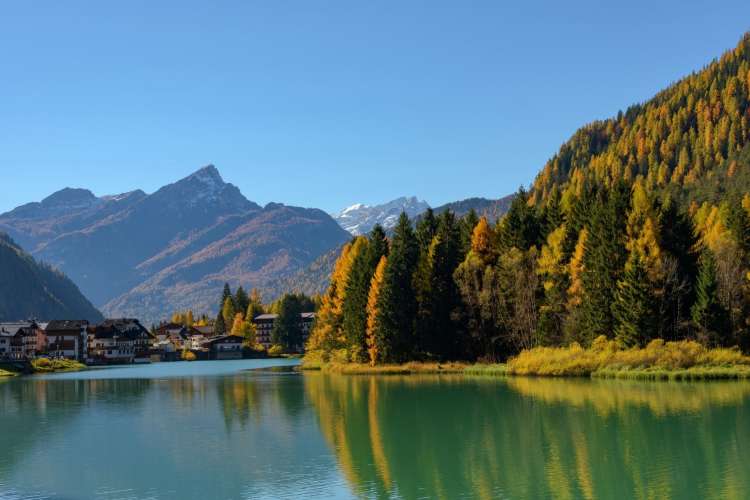 trees reflected in a lake before a mountainous background