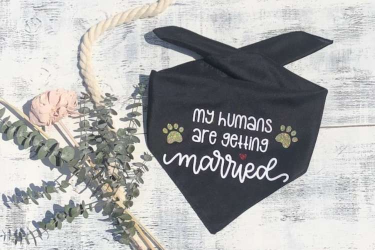 engagement dog bandana