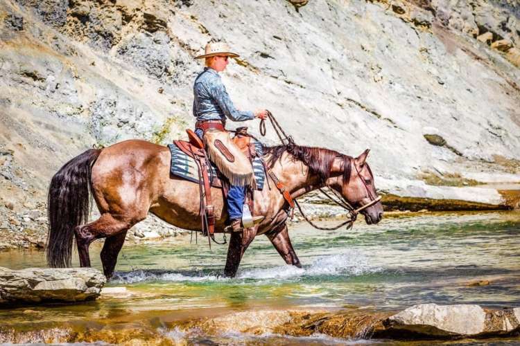 a cowgirl in full uniform rides a horse in the Canadian wilderness