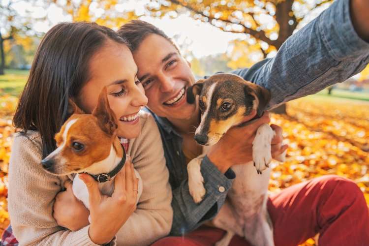 a couple with two dogs