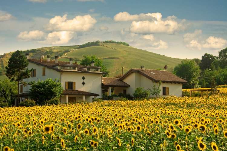 Emilia-Romagna is an Italian wine region with excellent food.