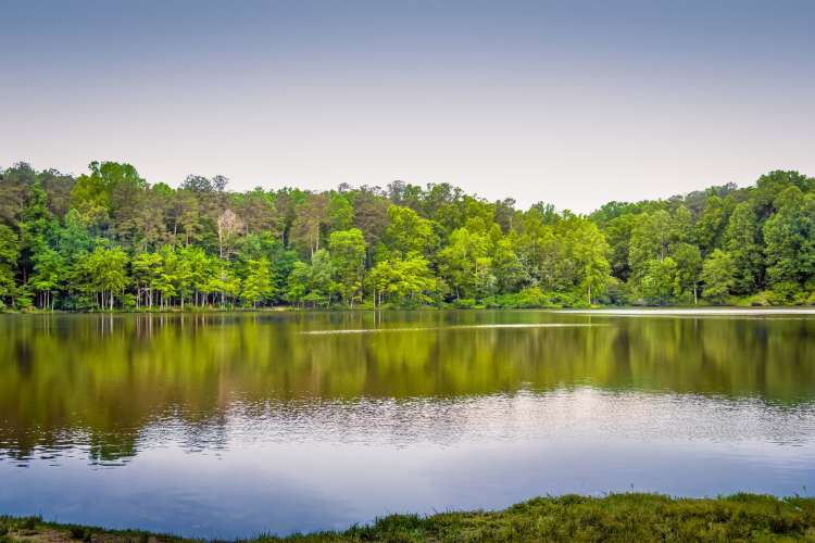 A visit to Umstead Park is a great team building activity for Raleigh nature lovers.