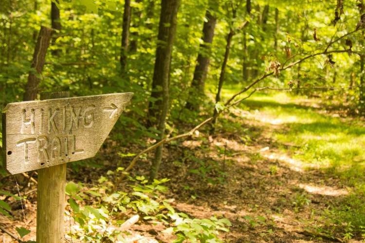 Exploring nature is a peaceful team building activity in Indianapolis.