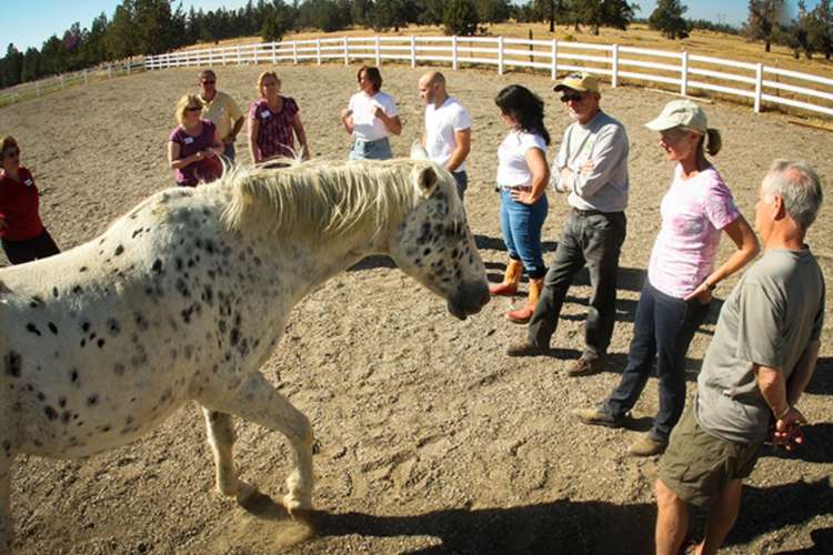 Willows Lodge provides a variety of team building activities around Seattle.