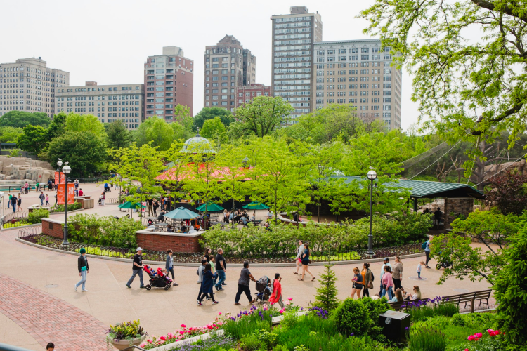 lincoln park zoo