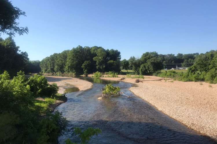 Little Sugar Creek is a team building activity in Charlotte that gets you back to nature.