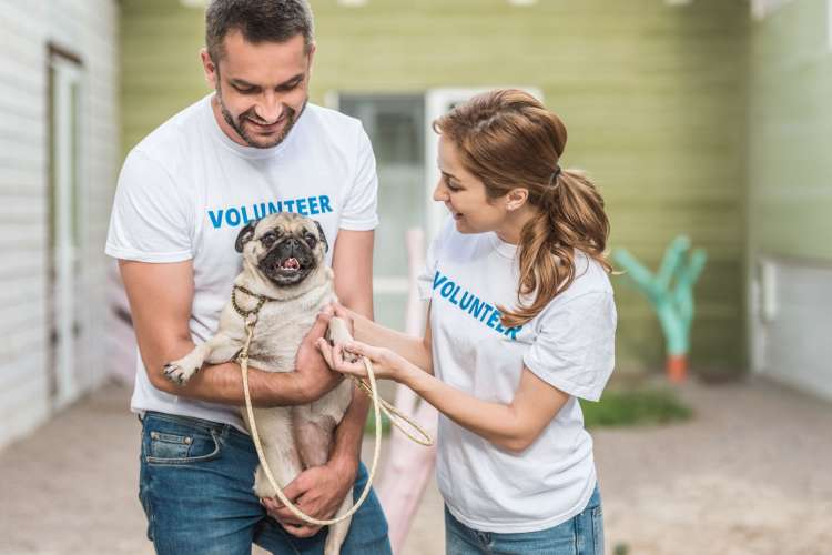 two volunteers playing with a dog