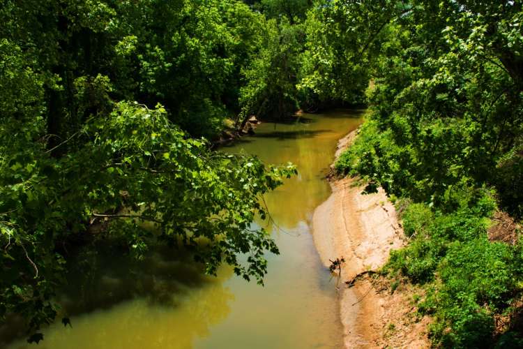 a narrow portion of Houston's Buffalo Bayou with foliage on both sides