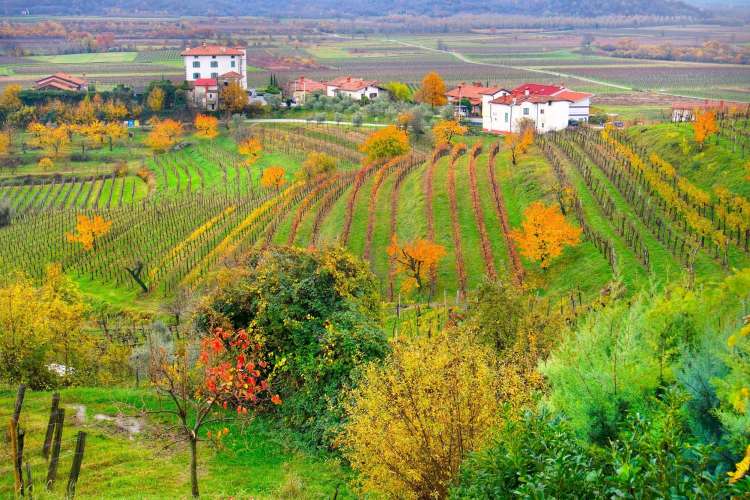 Friuli-Venezia Giulia is another mountainous Italian wine region.