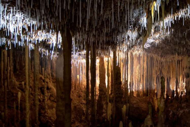 stalactites and stalagmites in a dimly lit cavern