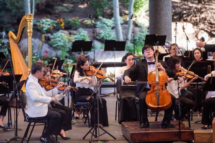 the string section of an orchestra plays music on stage