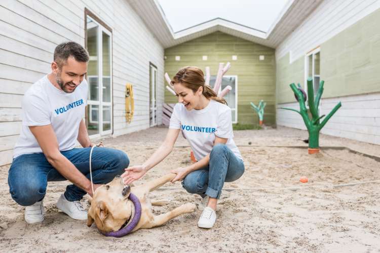 A man and woman in volunteer clothes playing with a dog, which is a great first date idea
