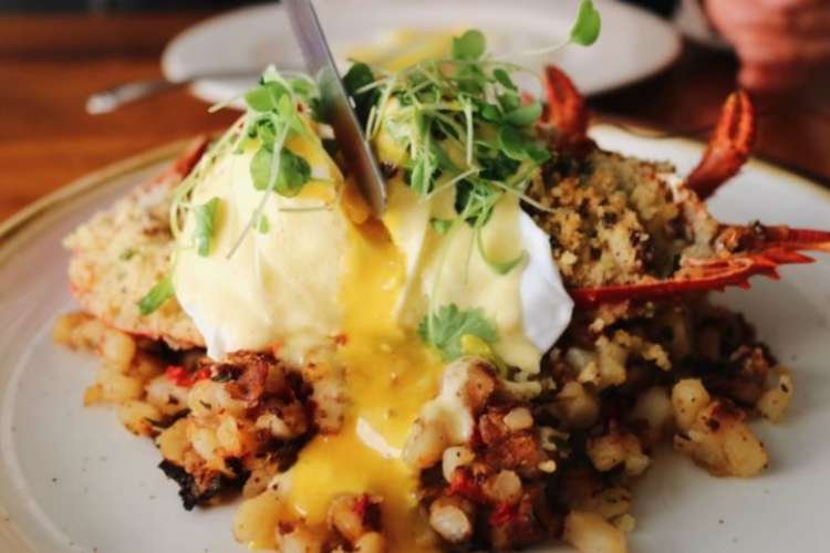 a plate of lobster hash