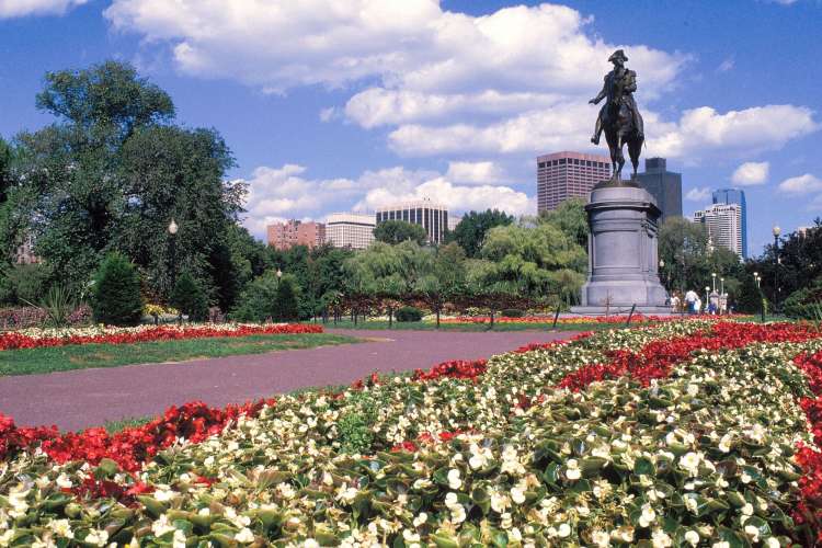 a flowery park and a statue of a man on a horse in Boston Common