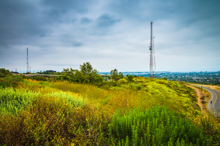 visit baldwin hills scenic overlook for a fun thing to do in los angeles