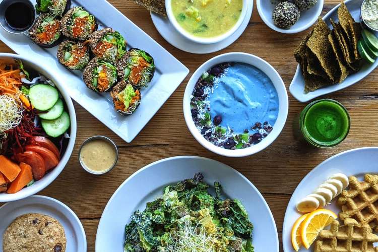 a colourful array of plant-based dishes on a table