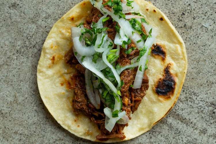  a tortilla filled with shredded meat barbecue