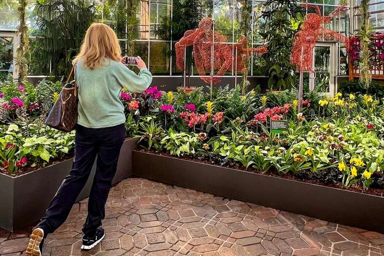 woman taking photos at the atlanta botanical garden