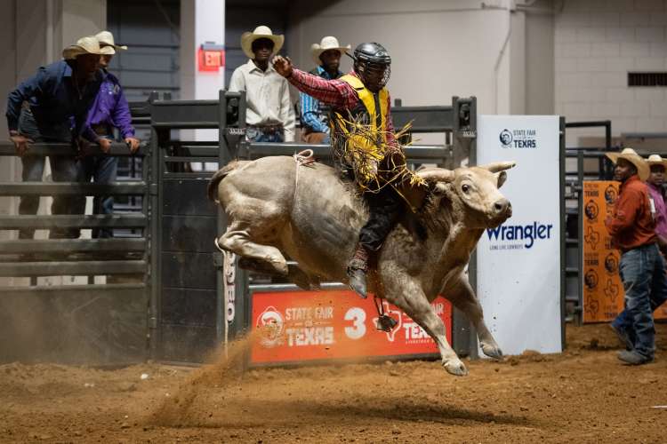 head to the texas state fair for a fun thing to do in dallas