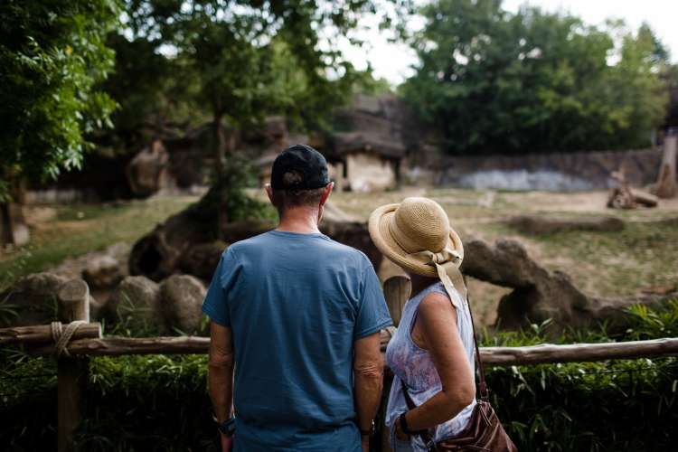 A visit to a zoo is a fun fall date idea.