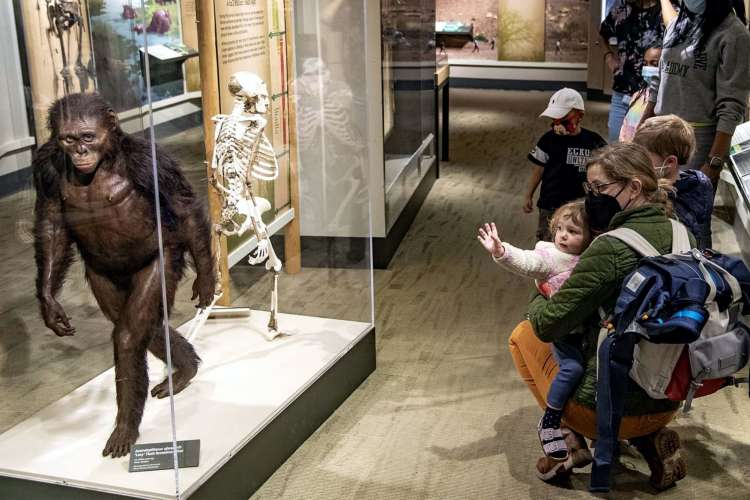 visiting the cleveland museum of natural history is a fun date idea in cleveland