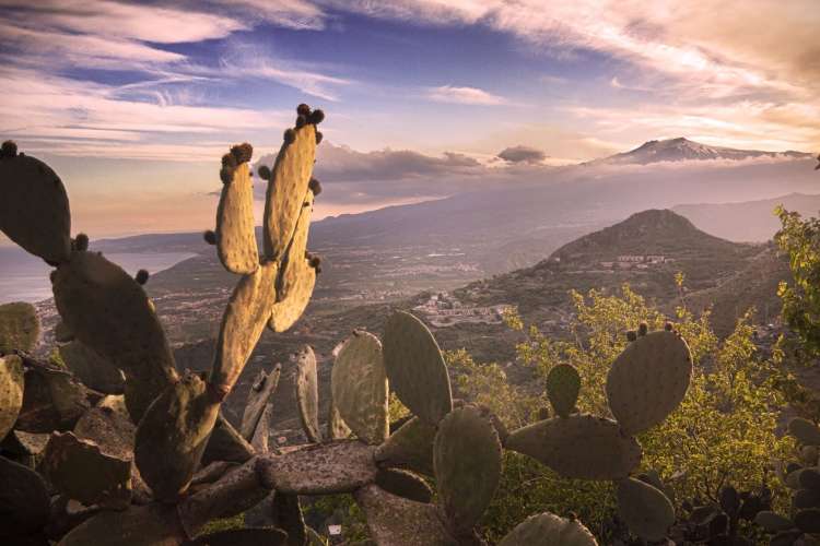 The Italian wine region of Sicily is home to many organic growers.