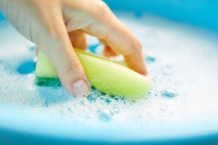 a soft sponge being dipped in soapy water