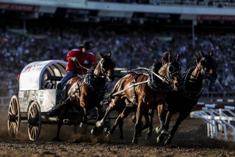 a man in Western wear drives a stagecoach as an audience looks on