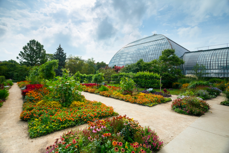 Garfield Park Conservatory