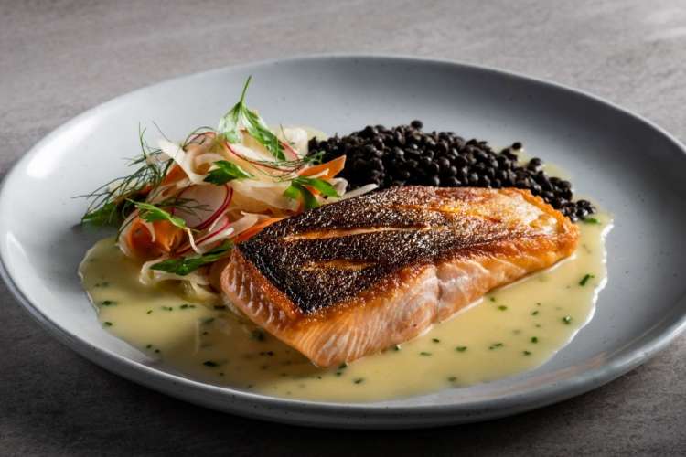 salmon plated at gordon ramsay's hell's kitchen