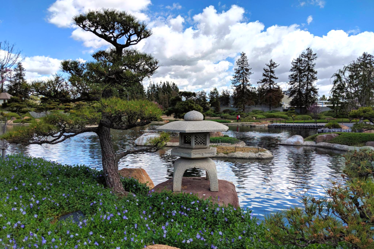 visit the japanese garden for a fun thing to do in los angeles