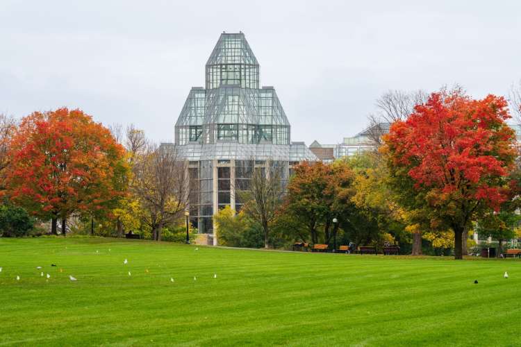 a large glass structure among red-leaved trees at Major's Hill Park