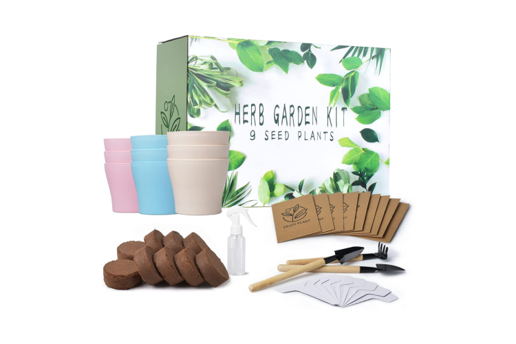 A mini herb garden kit is a fun 30th birthday gift idea