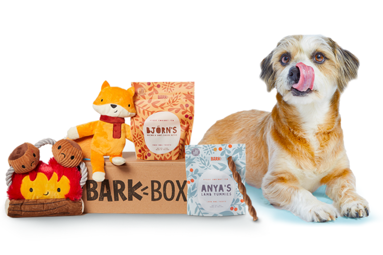 barkbox is a great last minute gift idea